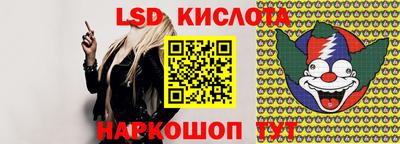 стаф Заводоуковск