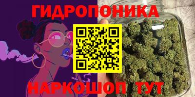 прущие грибы Жуковский
