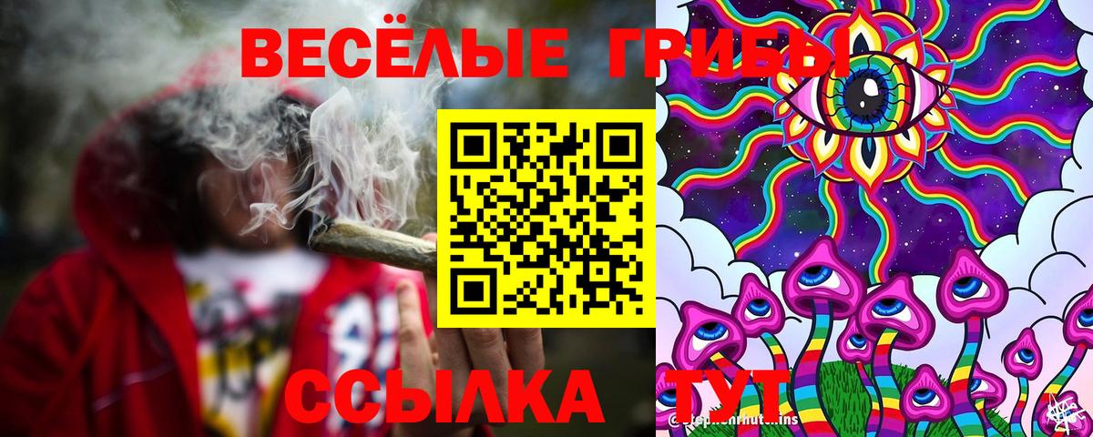 Псилоцибиновые грибы мицелий Менделеевск