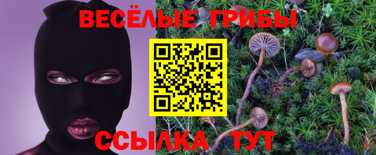 Галлюциногенные грибы Cubensis  Псилоцибиновые грибы мухоморы  Вход с VPN  Менделеевск 